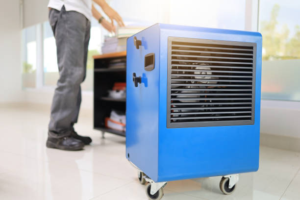 Best Industrial Mold Remediation  in Lebanon, IN
