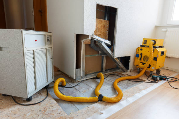 Best Real Estate Mold Inspection  in Lebanon, IN