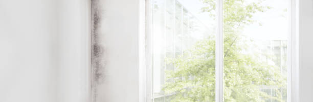Best Residential Mold Inspection & Testing  in Lebanon, IN