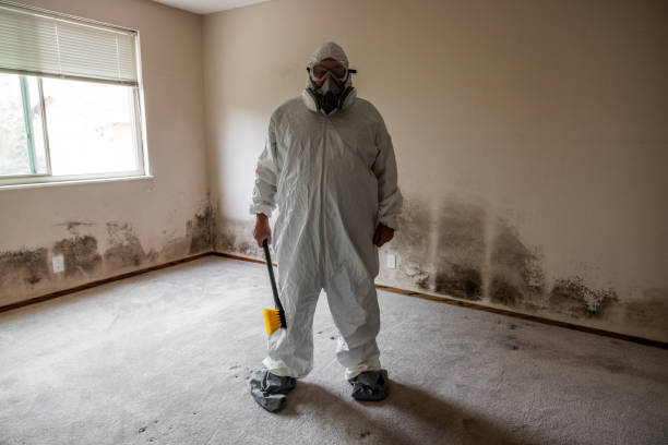 Best Post-Construction Mold Inspection  in Lebanon, IN
